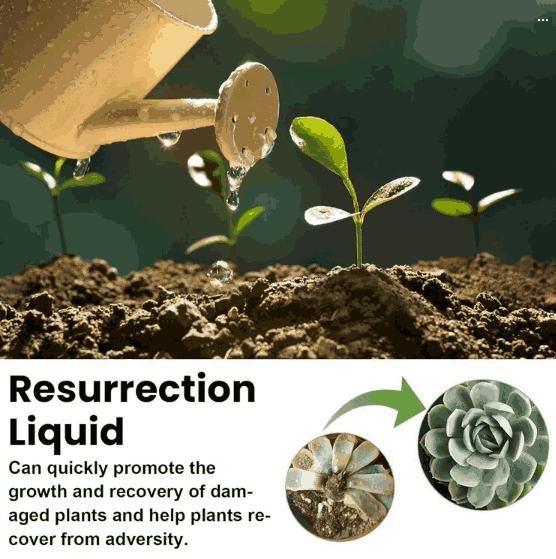 Resurrection Liquid for Plants,Flower 50ML (Pack of 3)